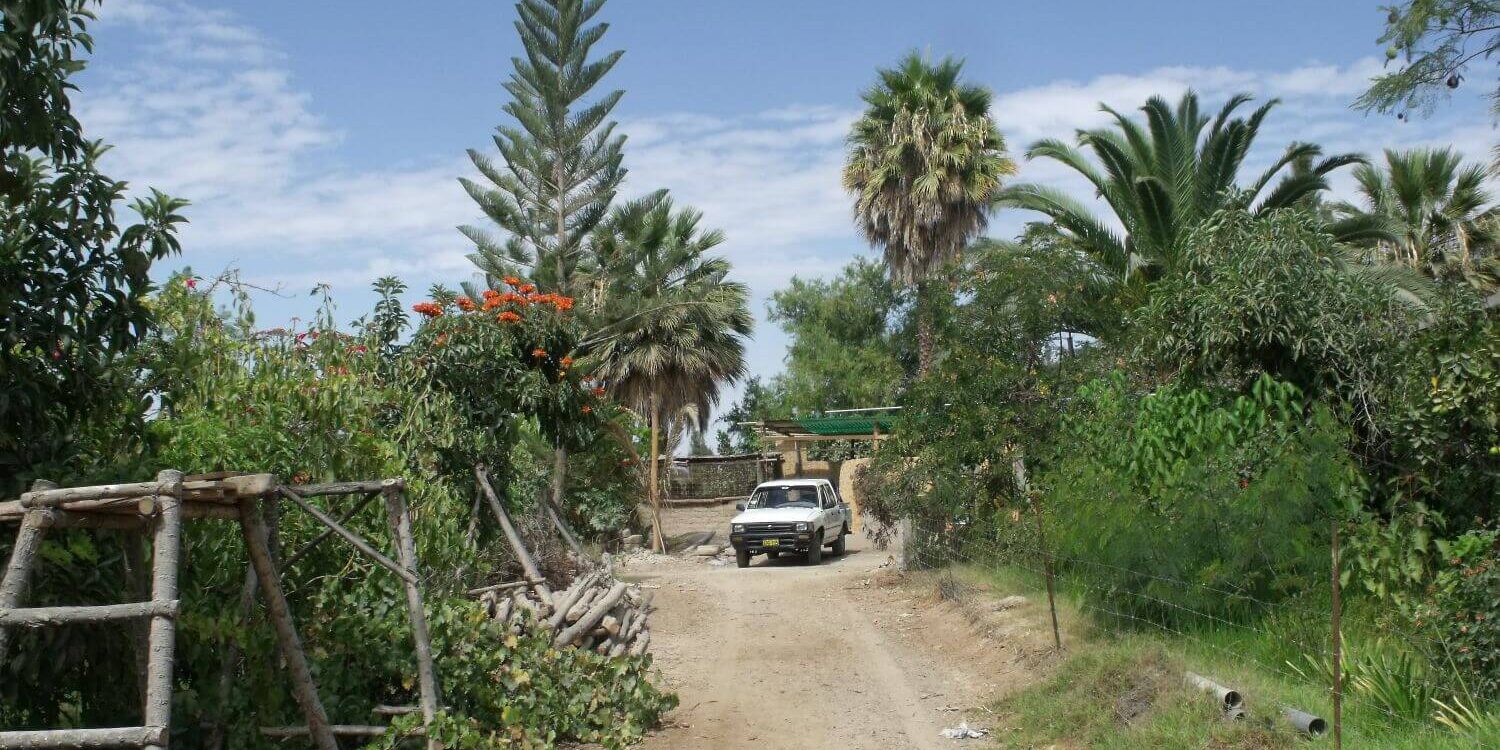 Forets-Amazonie-Bolivienne