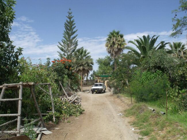 Forets-Amazonie-Bolivienne