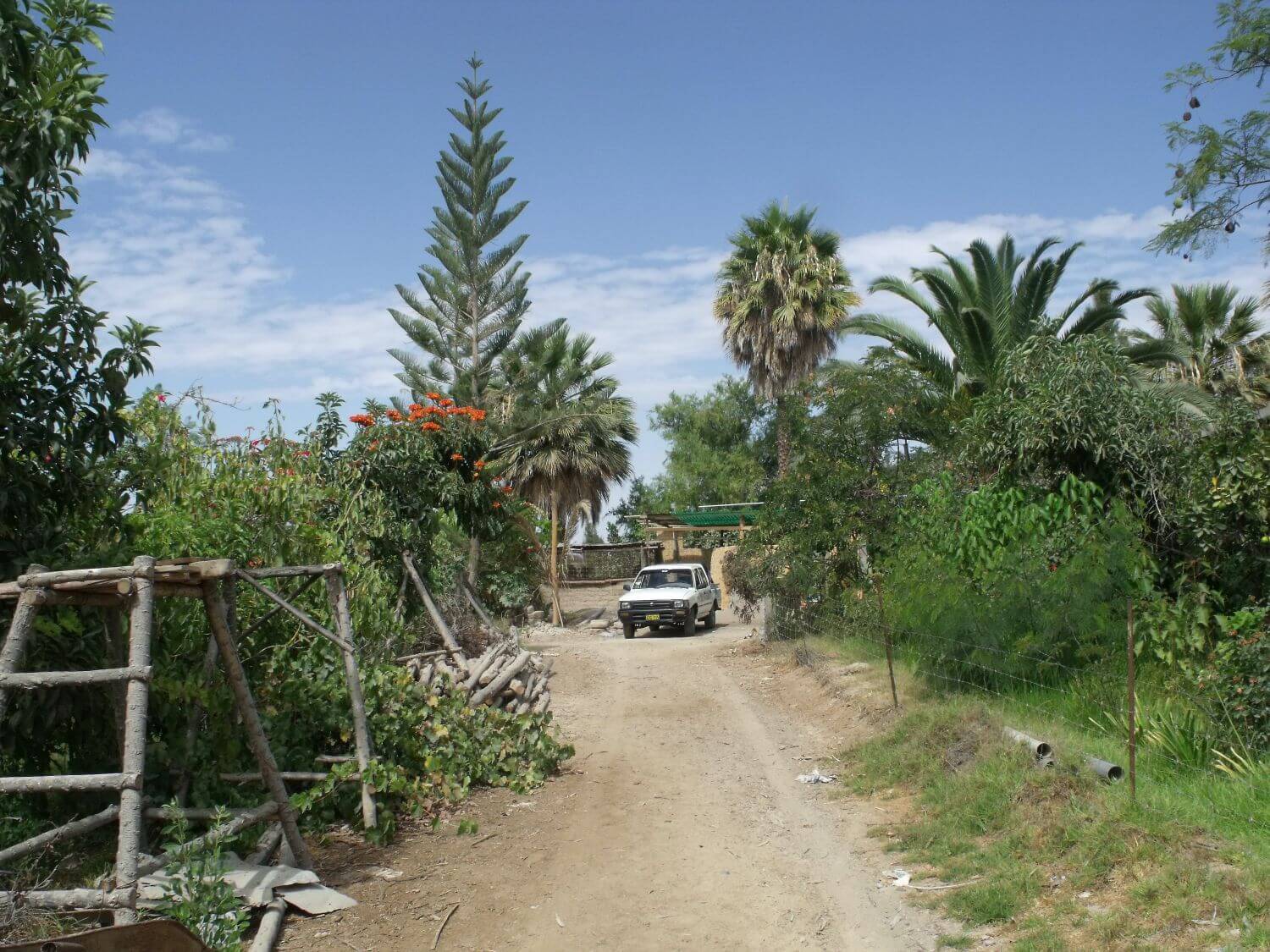 Forets-Amazonie-Bolivienne