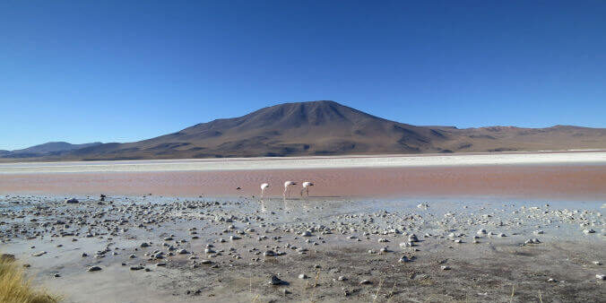 altiplano Altiplano