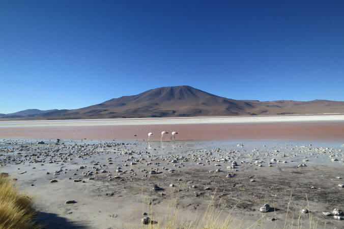 Altiplano