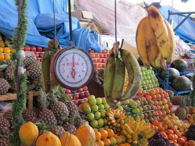 Visite de marchés, de producteurs locaux mais aussi de belles entreprises qui ont fait aujourd'hui du Pérou, une force d’exportation incroyable...