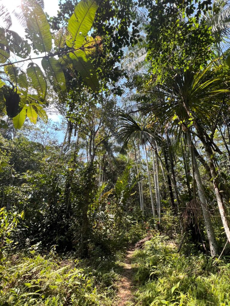 Navigation, gastronomie et émotions garanties.