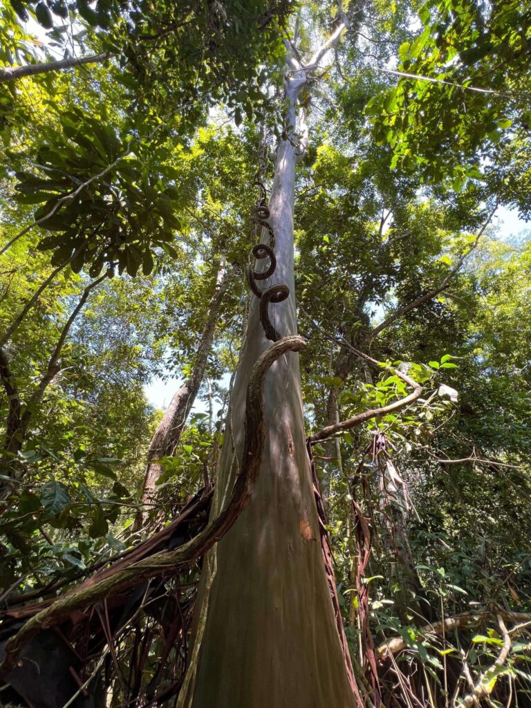 Découverte de la faune et la flore.